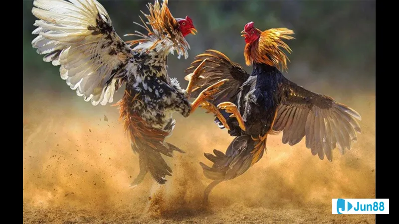 Kiểm tra sức khỏe định kỳ